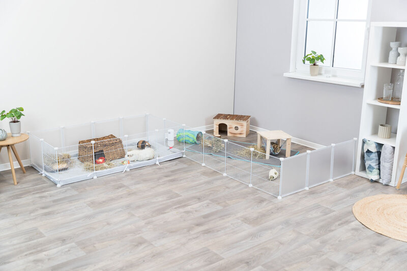 Moggy galler cheap