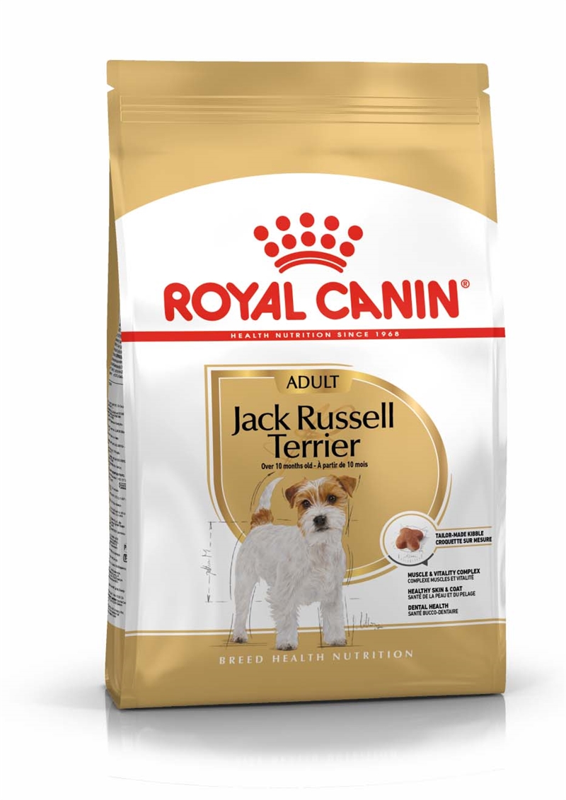 jack russel hundfoder adult