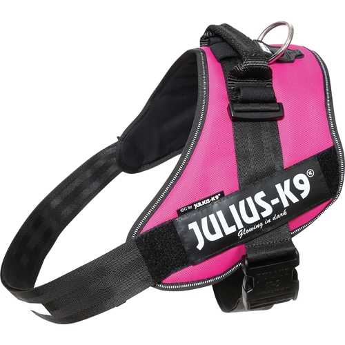 Julius-K9 IDC Sele dark pink