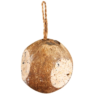 Kokosnöt m fyllning