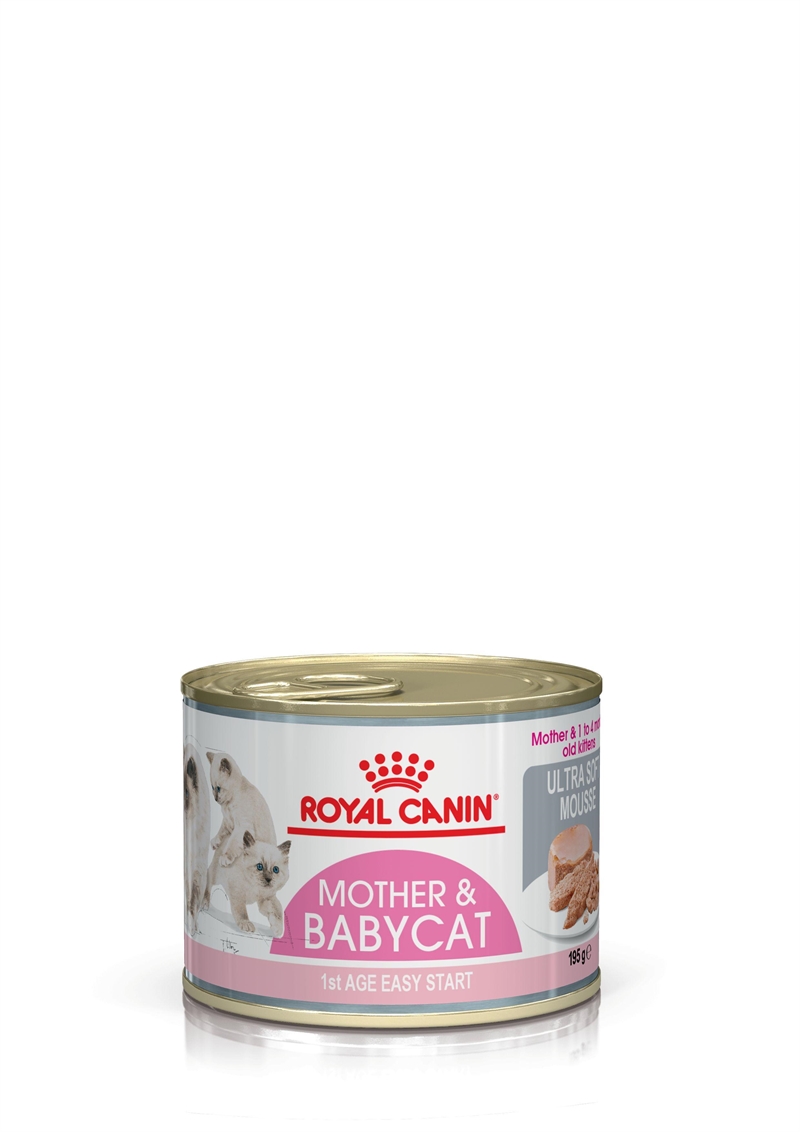 Royal Canin Babycat Mousse 12x195g