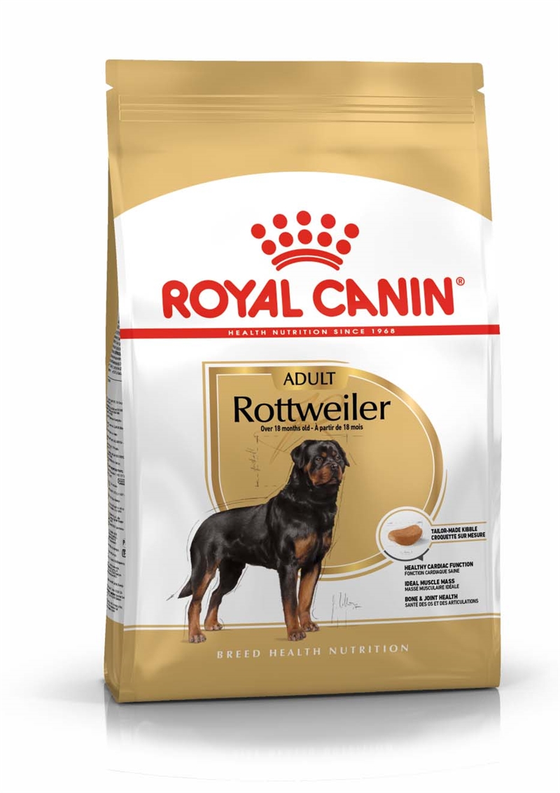 rottweiler hundfoder adult