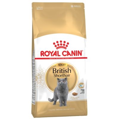 Royal Canin British Shorthair Adult 10kg