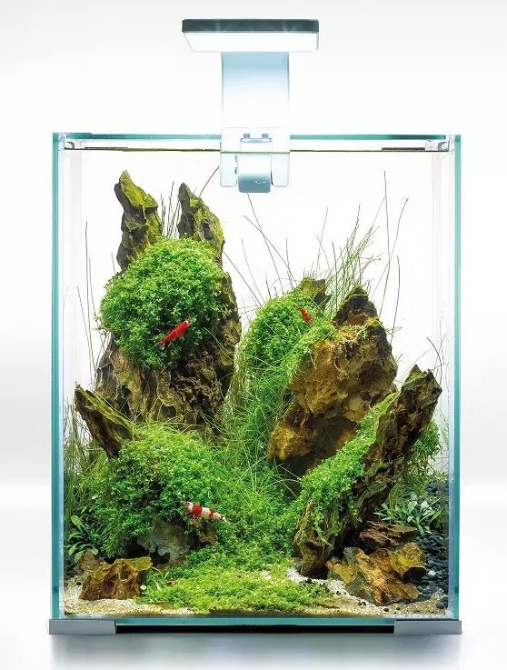 AquaEL Shrimp Set Day&Night 19L Vit
