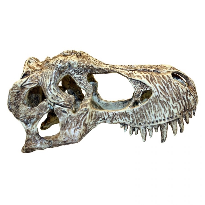 T-rex skalle small 15cm