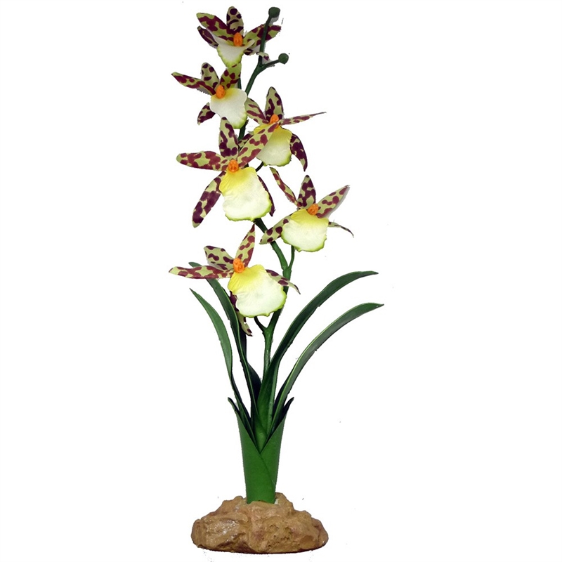 Konstväxt Spider Orchid 40cm