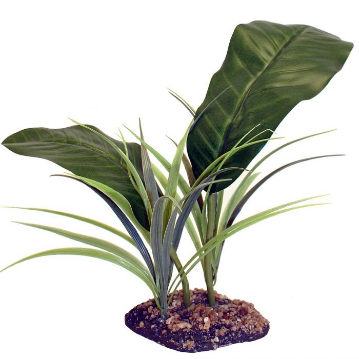 Konstväxt Evergreen Canopy 35cm