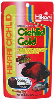 Hikari Cichlid gold baby