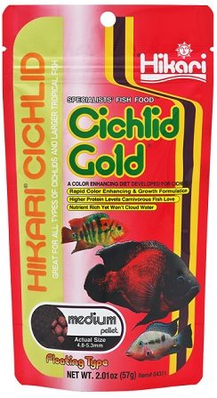 Hikari Cichlid gold medium