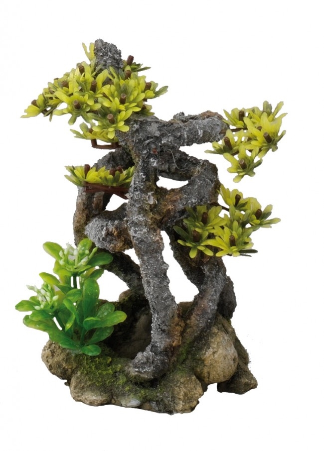 Twist-Bonsai 11x11x17cm