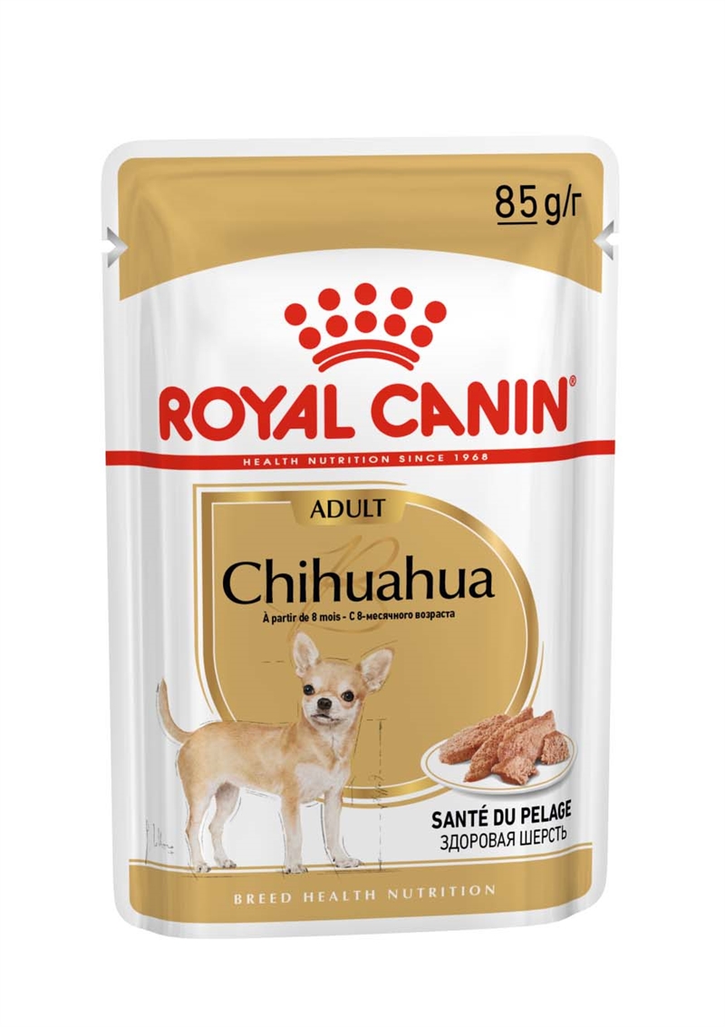 våtfoder chihuahua