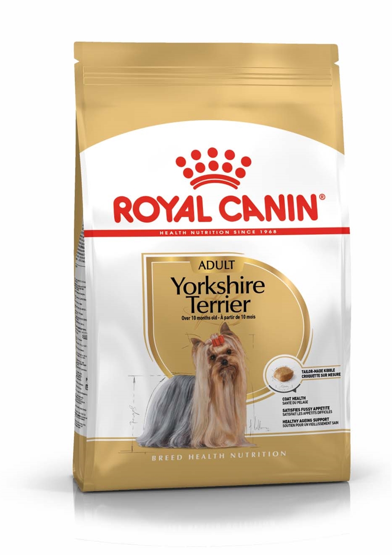 yorshire terrier adult hundfoder
