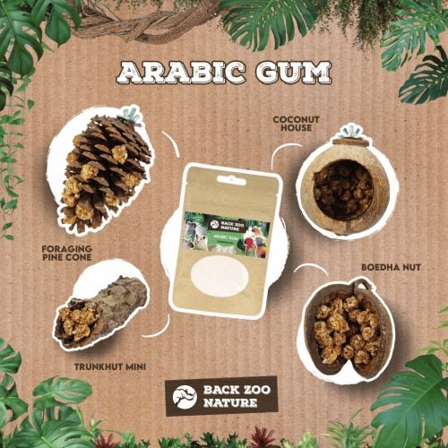 Använd Arabic gum