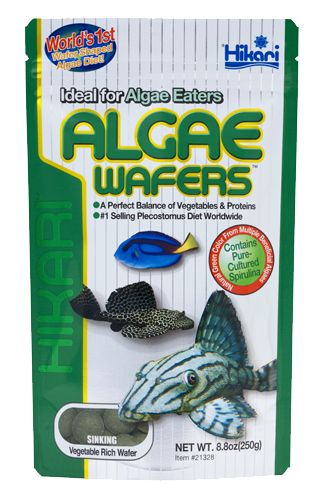 Hikari Algae wafers 250g