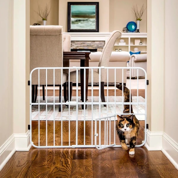 Carlson Tuffy grind #0624EDS