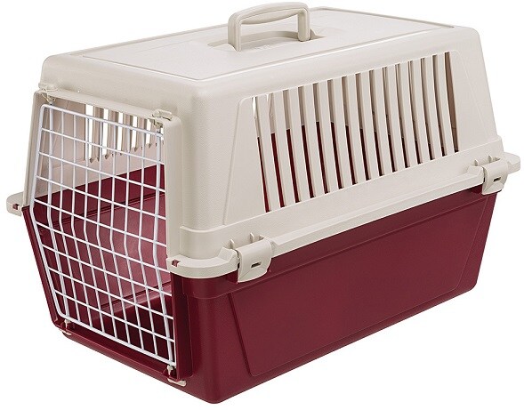 Transportbur Atlas 20 58x37x32cm - 2