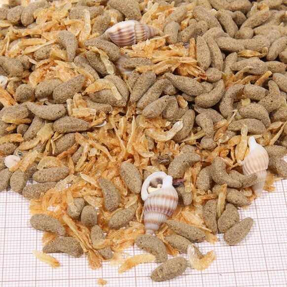 Jbl Proterra Molluscus 1L - 2