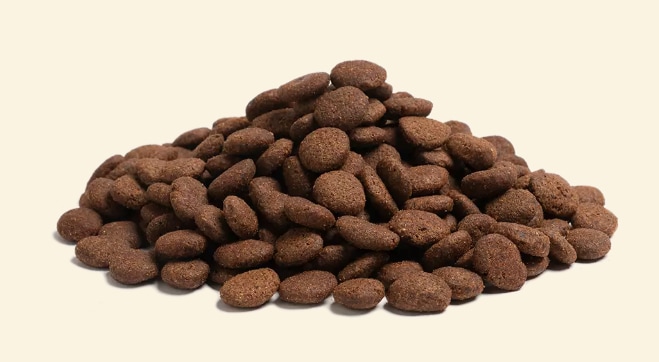 Essential The Beginning Large Breed 2,5kg x 2st - 2