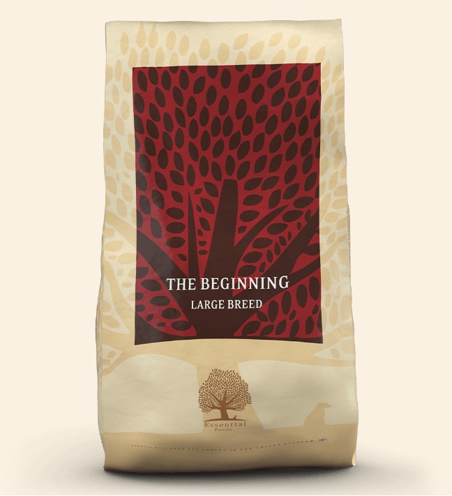 Essential The Beginning Large Breed 10kg