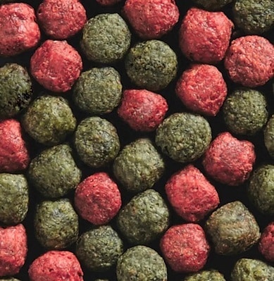 Koifoder Green Red 15L/4,8kg - 2