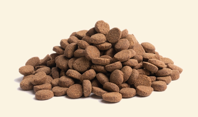 Essential Older 10kg - 2