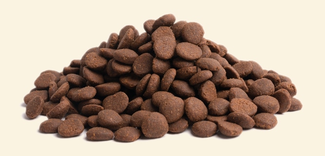 Essential Stamina 10kg - 2