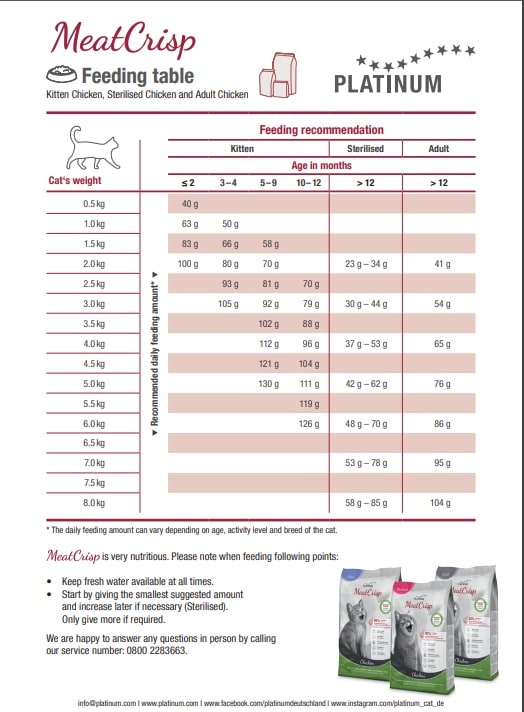 Platinum Cat Kitten 400g - 2