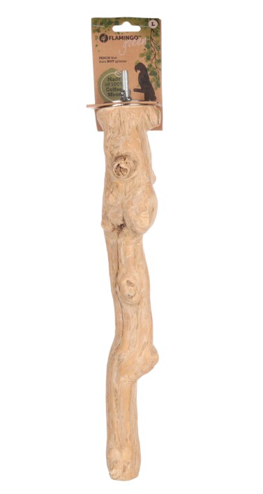 Sittpinne Coffe tree Large 5-7cm/40cm