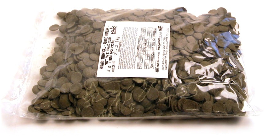 Hikari Algae wafers 1000g - 2