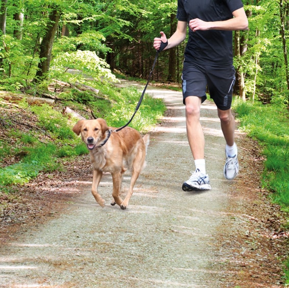 Joggingkoppel 90-130cm/20mm svart - 2