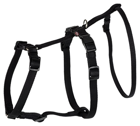 Stay Sele - flera storlekar