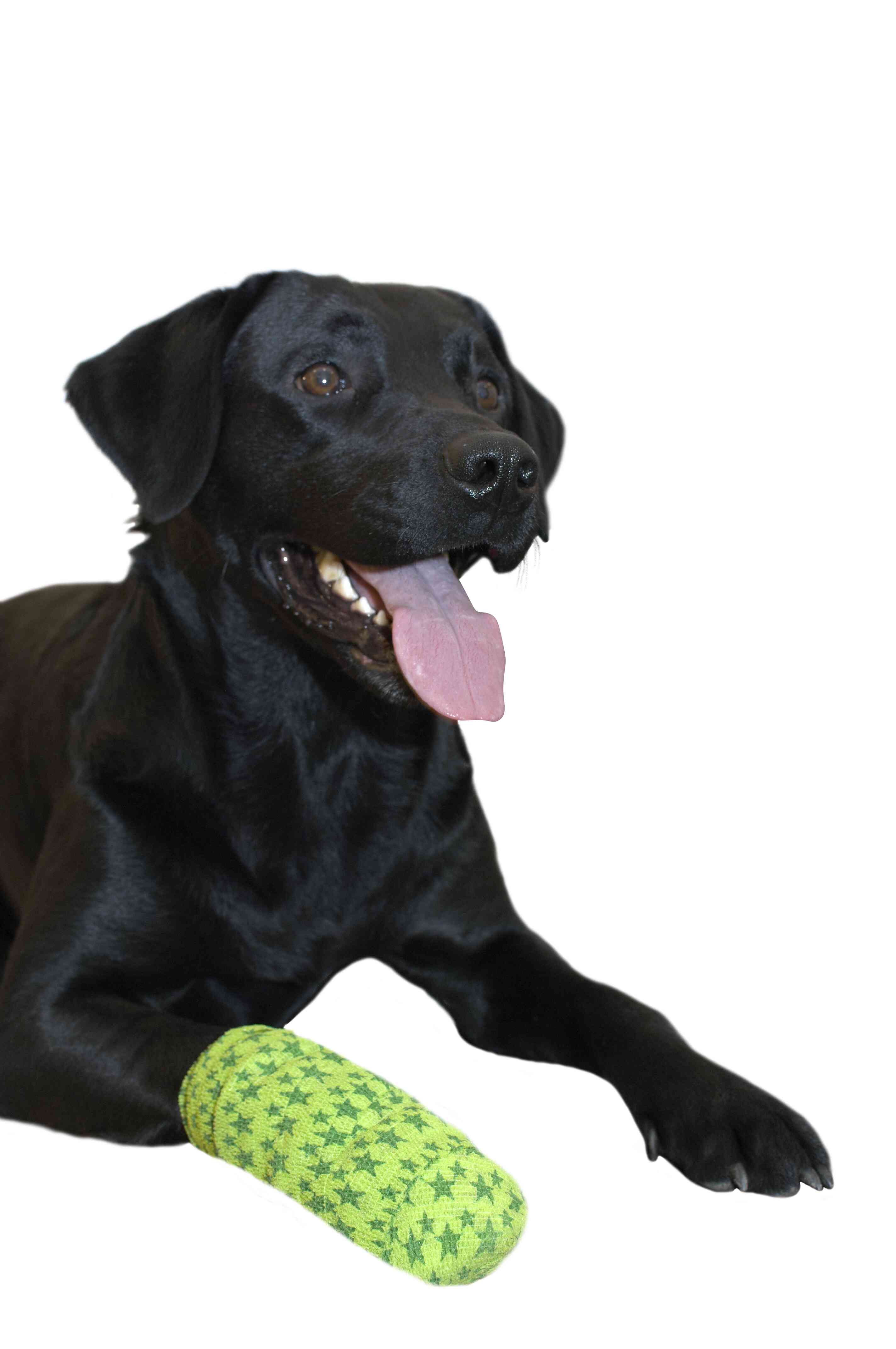 Funflex mix Bandage olika storlekar - 2