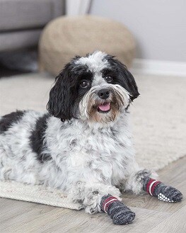 Hundsocka halkfri 2-pack