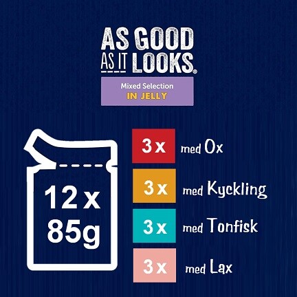 Latz Mixed Selection i Gele 12-p - 2