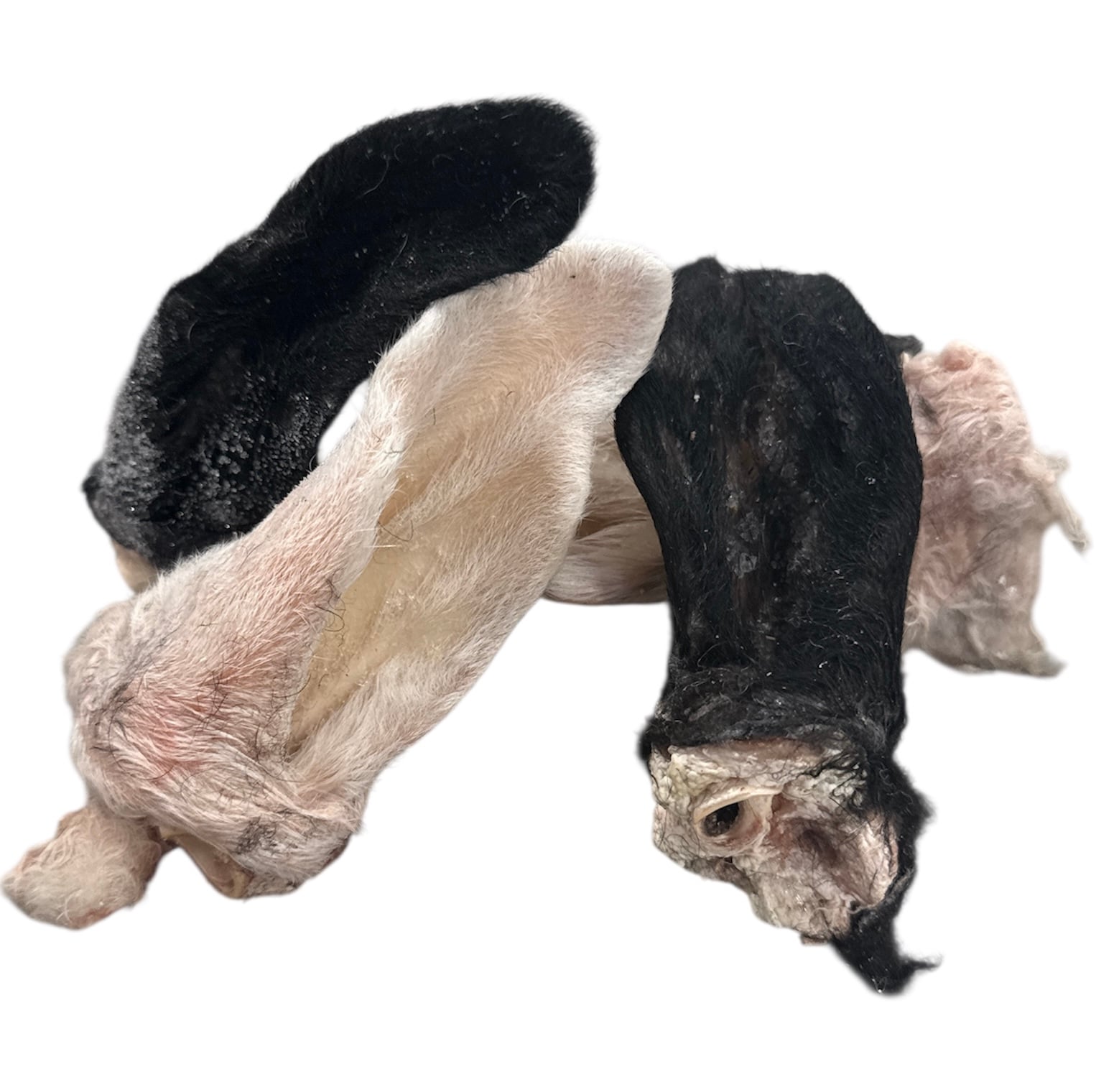 Frysta lammöron med päls/hg