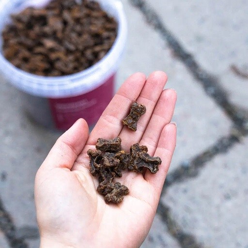 Buddy Petfood Venison Training Snack 100g - 2