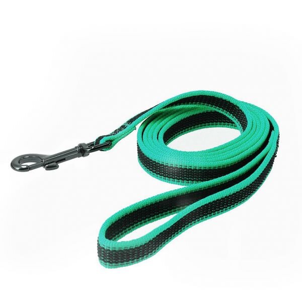 Gummerat koppel Iris turkos 300cm