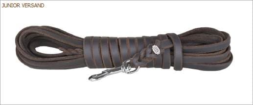 Spårlina/koppel läder - 2