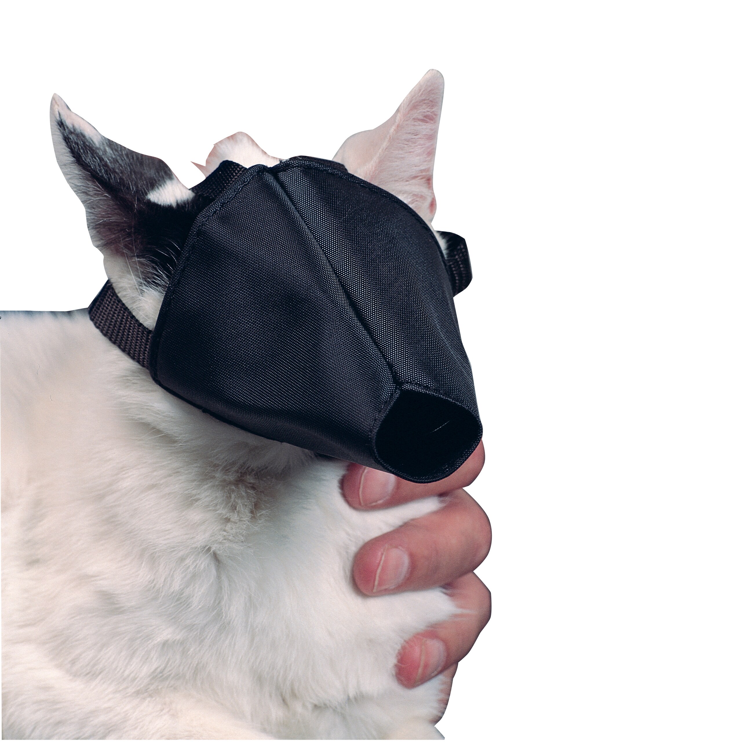 BUSTER munkorg katt One Size