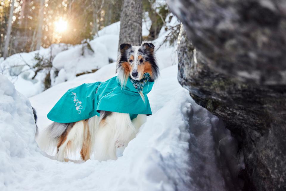 Regntäcke Monsoon II Ruby