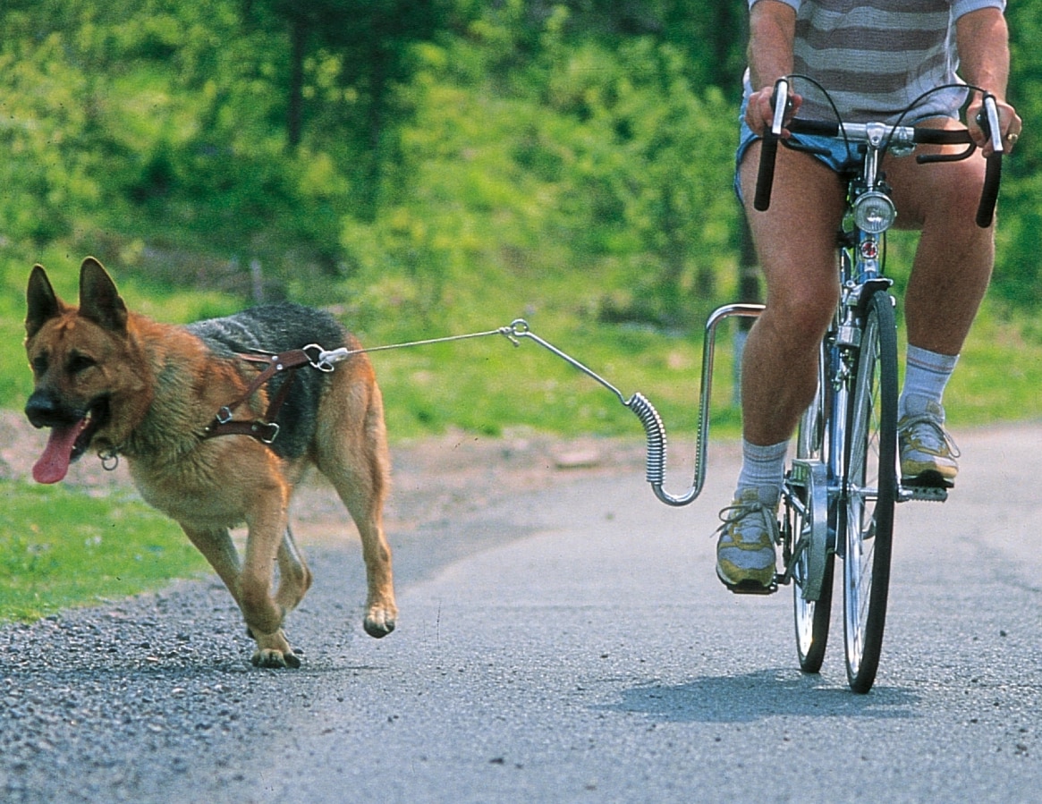 Springer Cykelfäste - 2