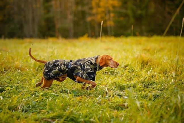 Rukka Comfy Pile täcke cammo, olika storlekar - 2