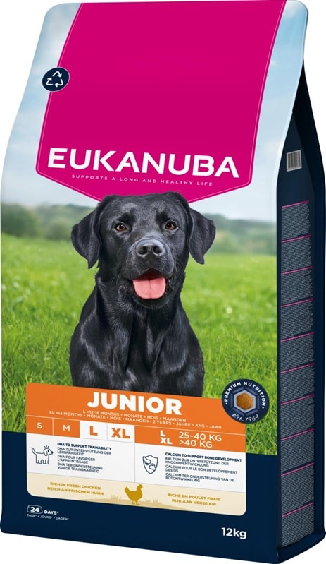 Eukanuba Junior Large 12kg