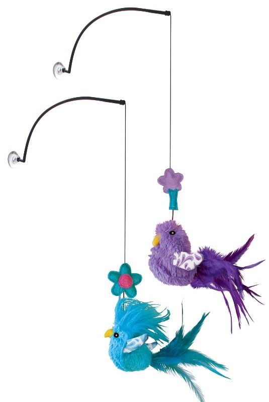 Kong Katt Window Teaser  - 2