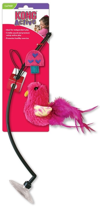 Kong Katt Window Teaser