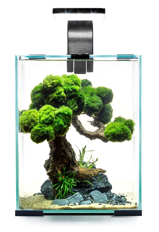 AquaEL Shrimp Set Day&Night 10L Svart