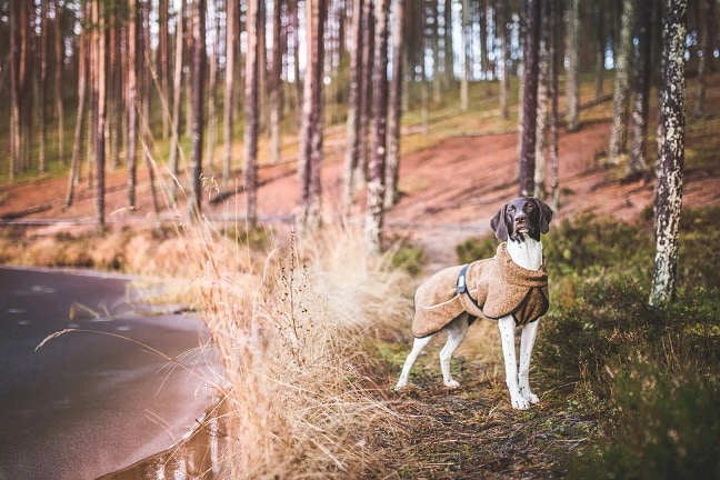 Rukka Comfy Knit Brun, flera storlekar - 2