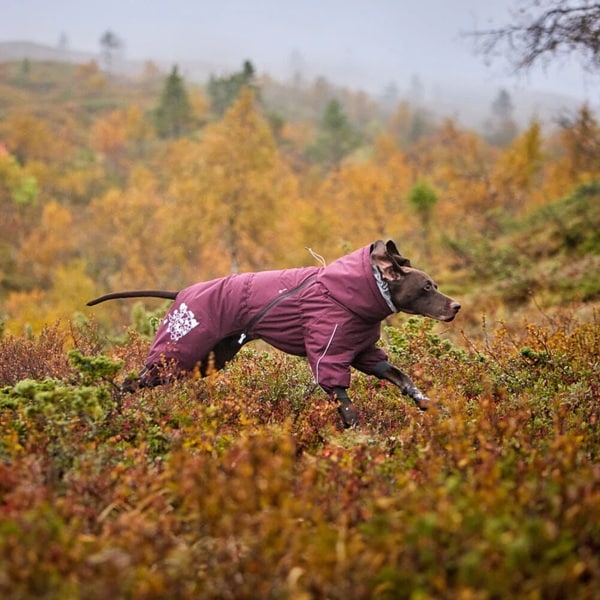 Hurtta Extreme Overall Eggplant - 2