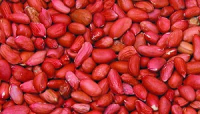 Jordnötter skalade 3,5kg