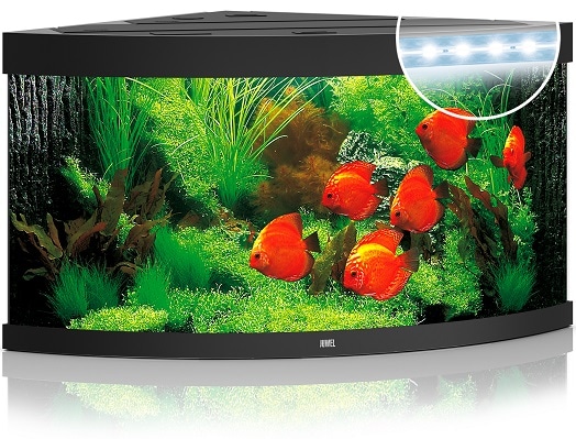 Juwel Trigon 350 LED Svart